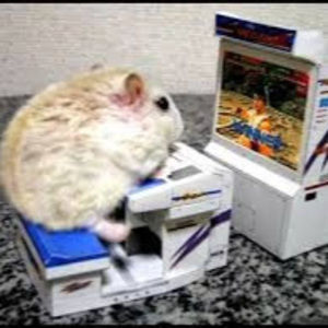 Meet your Posher, Elijah